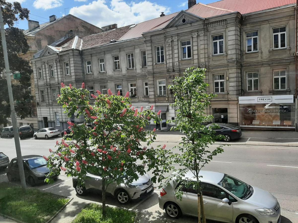 Centrally Located Cosy Studio Wilna Exterior foto